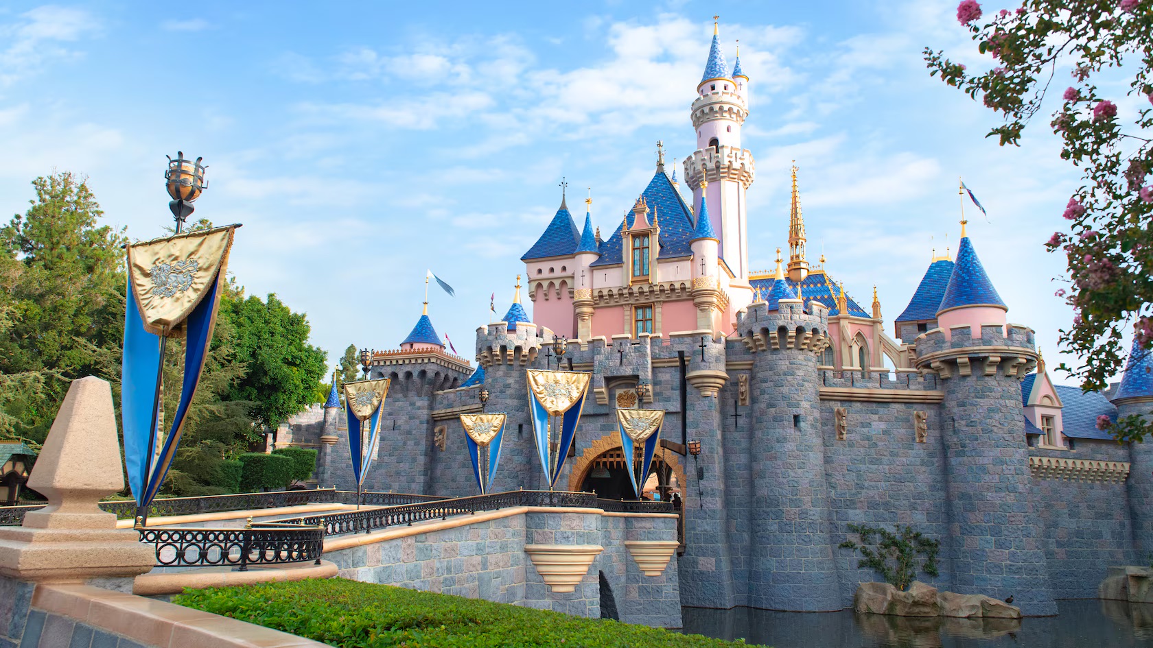 New Disneyland Ride Rules Target Phones and Stanley Cups—Here’s Why