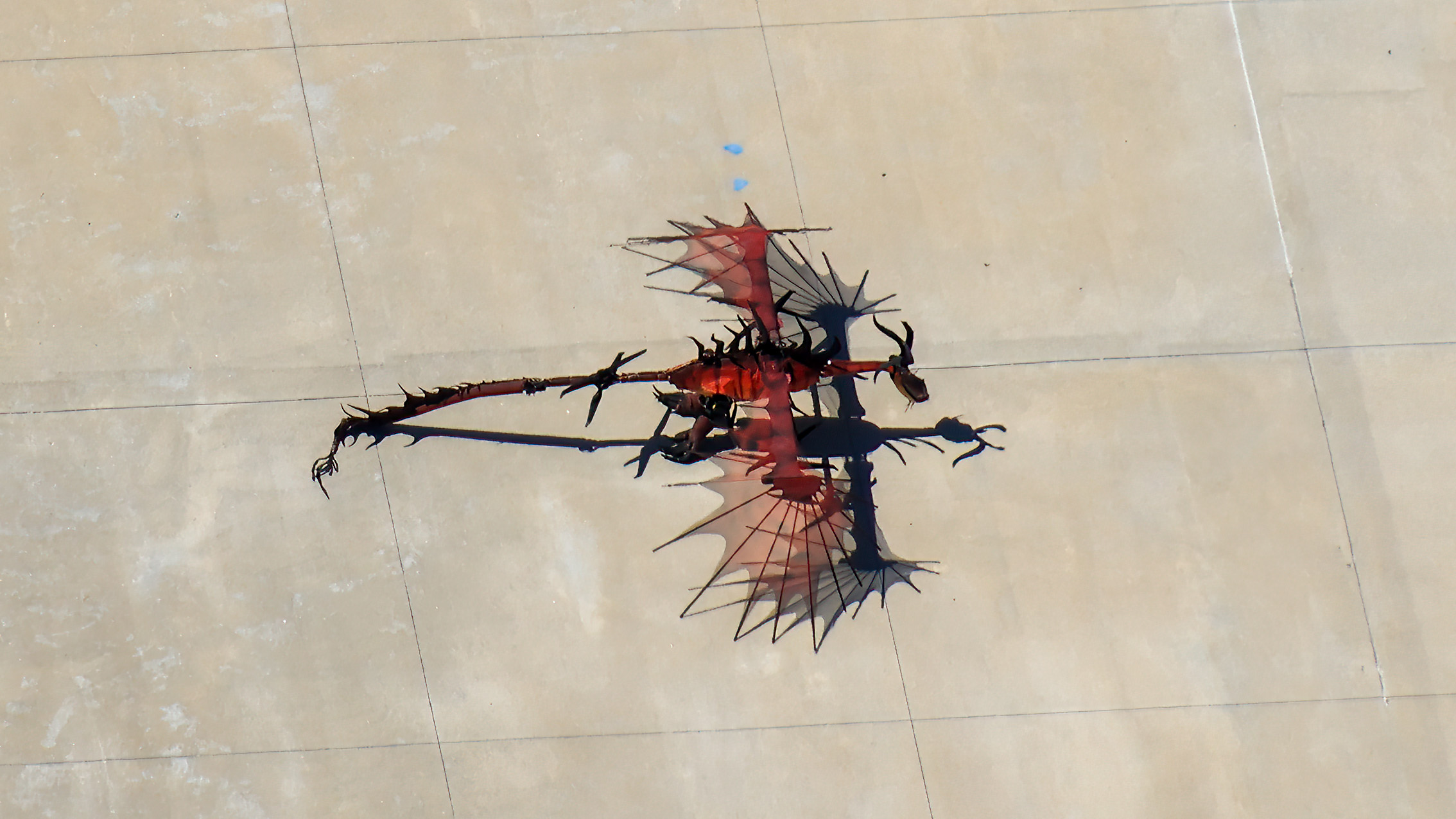 New Sighting Suggests Epic Universe Dragons Aren’t Gone