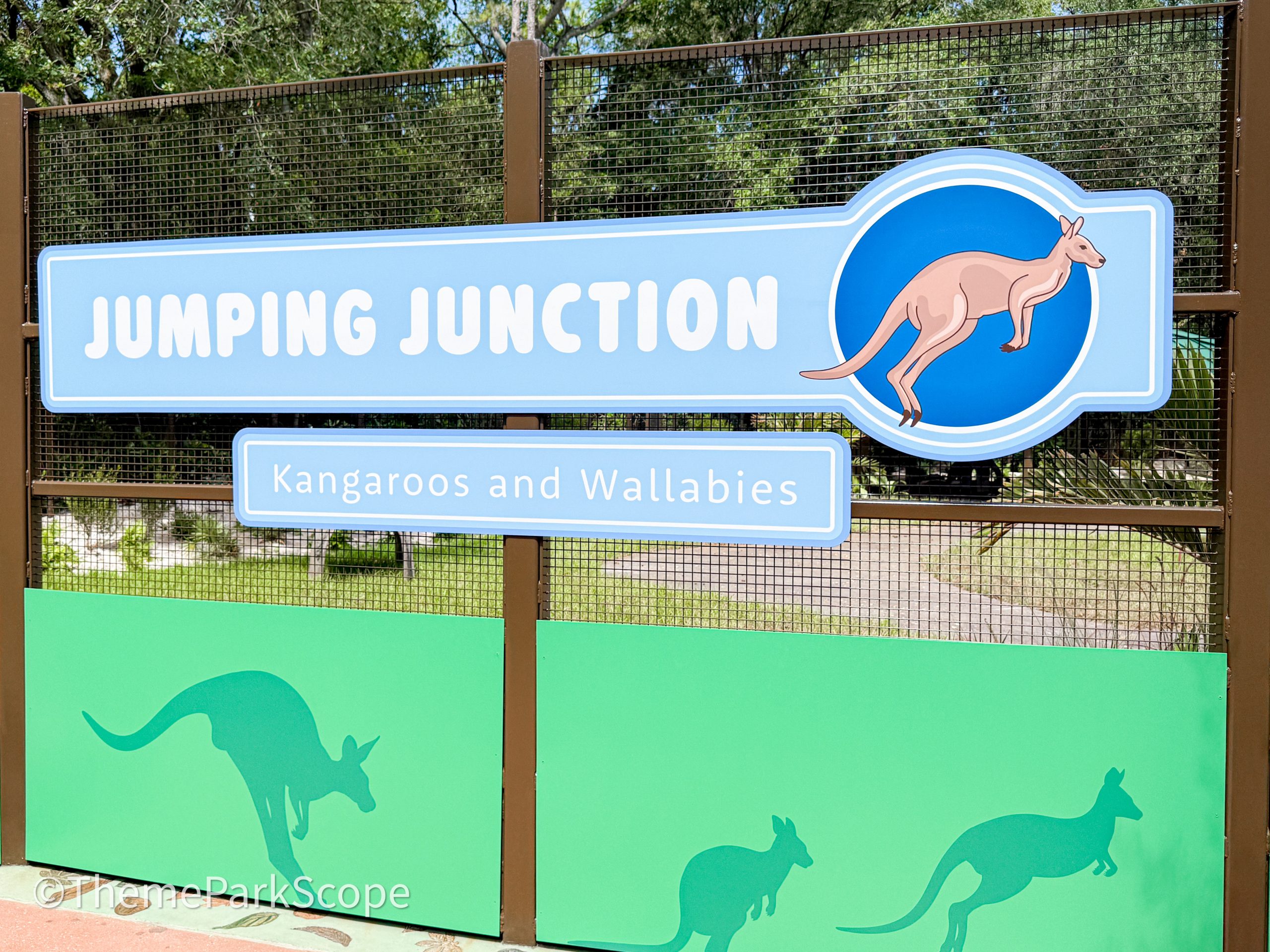 New Details Revealed About Jumping Junction At Disney’s Animal Kingdom