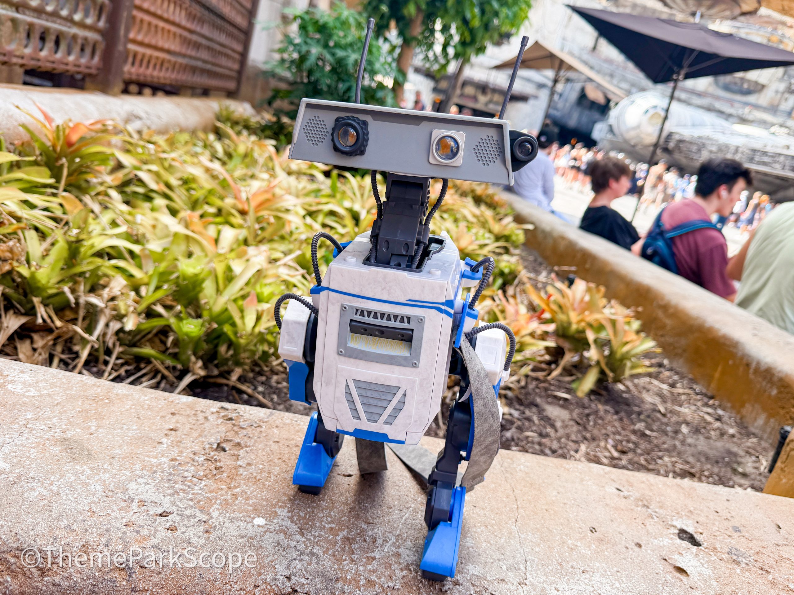 The NEW BDX Droid Popcorn Bucket Has Officially Arrived At Disney World