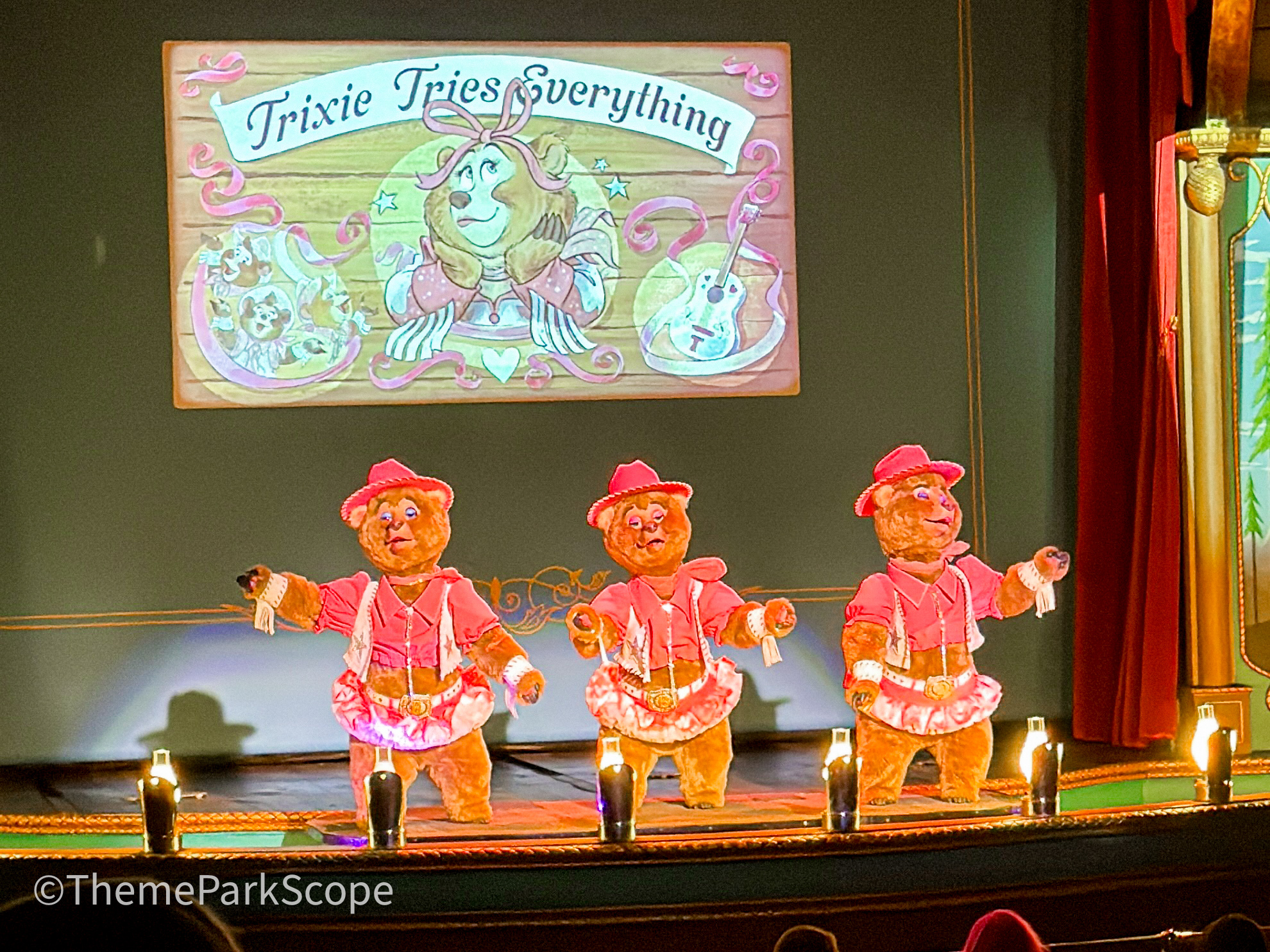 Disney Shares Rare Look at Country Bear Musical Jamboree Maintenance