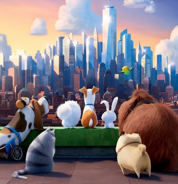 It’s Official: ‘The Secret Life Of Pets 3’ Is Finally On The Way