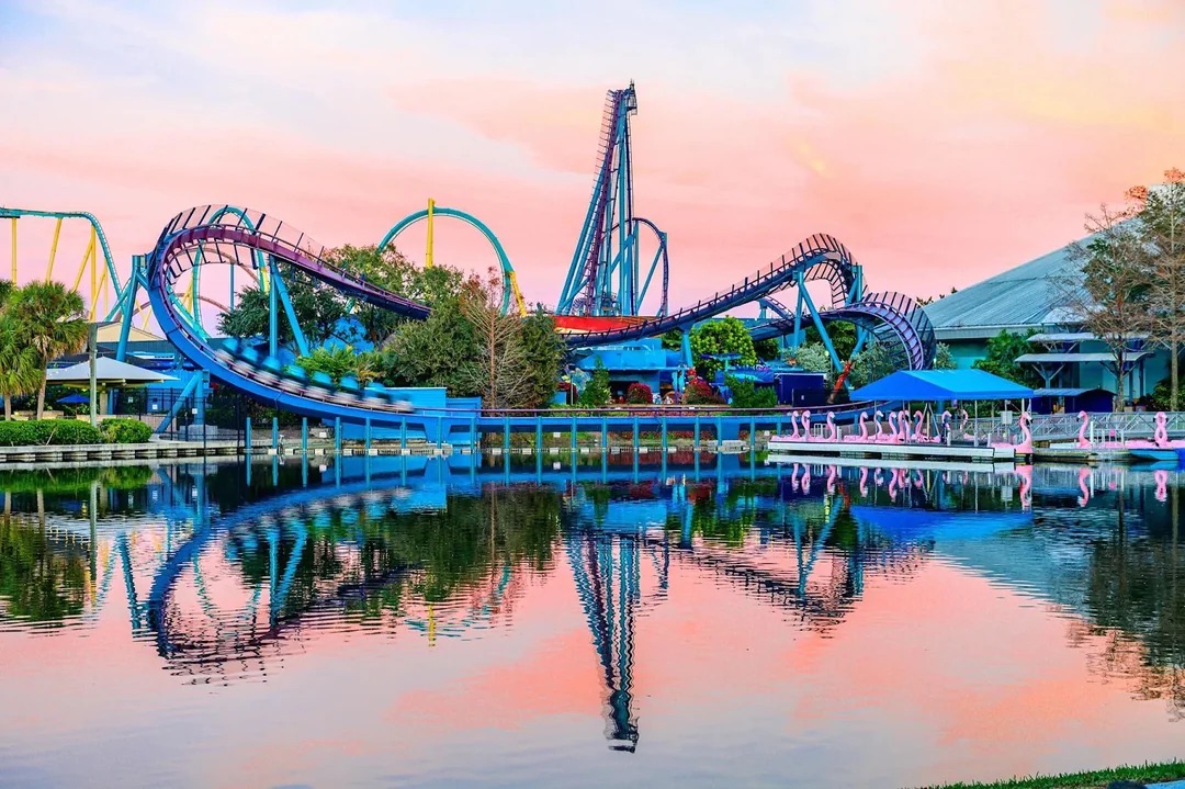 Mako Has Been Thrilling Riders For 10 Years