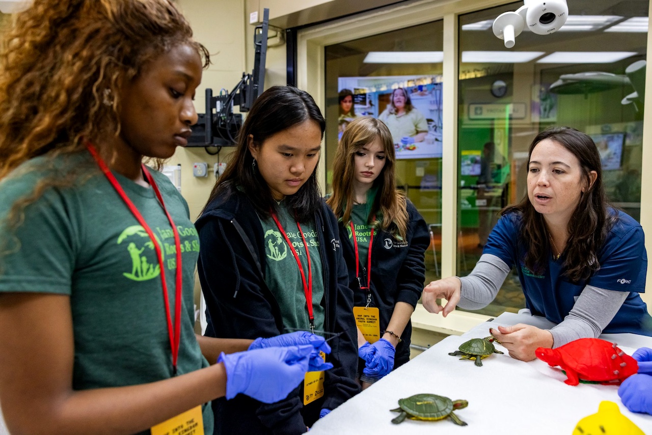 Disney Celebrates 10 Young Wildlife Heroes With Special Animal Kingdom Experience